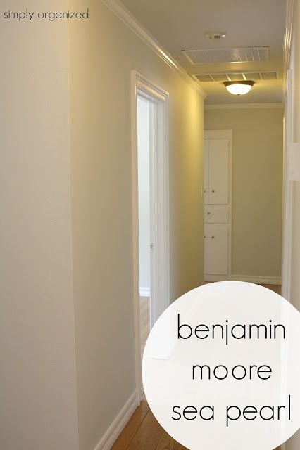 My Home Interior Paint color palate - Simply Organized Seapearl Benjamin Moore Walls Living Room, Bm Sea Pearl Paint, Bm Seapearl Walls, Benjamin Moore Sea Pearl Paint, Sea Pearl Paint, Benjamin Moore Sea Pearl, Sea Pearl Benjamin Moore, Seapearl Benjamin Moore, Bm Seapearl