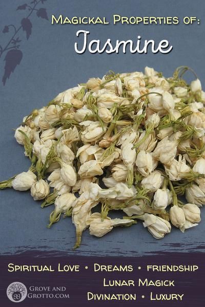 Magickal properties of Jasmine Jasmine Incense Meaning, Jasmine Magical Properties, Herbal Correspondences, Magical Plants, Small Herb Gardens, Palace Gardens, Magickal Herbs, Witch Herbs, Herbs Garden