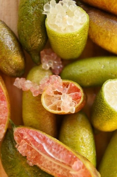 What Are Finger Limes? – weekend recipes Finger Limes, Weekend Recipes, Caviar Lime, Citrus Recipes, Finger Lime, Lime Recipes, Food Texture, Fruit Picture, Fruits Images