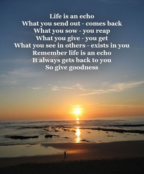 Life Is An Echo, Come Back Quotes, Get What You Give, Giving Quotes, Reap What You Sow, Respect Quotes, Positive Things, Quotes Happy, Say That Again