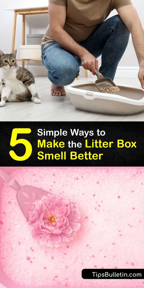 Learn how to clean your cats litter box, eliminate litter box odor, and keep your home smelling fresh. The best way to get rid of a litter box smell is to use clumping litter and apply baking soda for odor control. #howto #getridof #litter #box #odor How To Get Rid Of Cat Litter Box Smell, How To Get Rid Of Litter Box Smell, Cat Litter Smell Get Rid Of, Litter Box Smell Hacks, Self Cleaning Litter Box Cats, Litter Box Odor Control, Odor Eliminator Diy, Cat Litter Smell, Remove Cat Urine Smell