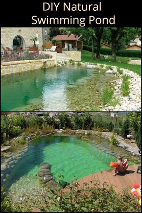 This Pool Requires Minimal Maintenance And Offers Maximum Visual Appeal Diy Backyard Swimming Pool, Nature Pool Backyard, Diy Pool Ideas Homemade, Diy Pond Pool, Natural Swimming Pool Designs, Natural Pool Ideas, Diy In Ground Pool, Walk In Pool, Pond Build