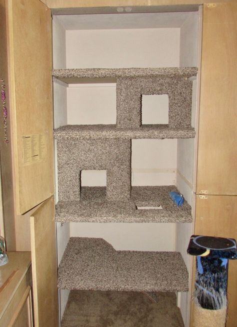 Converted Stereo closet to built-in Cat Condo. Top two levels are accessed from inside carpeted cubbies. Built In Cat House, Cat Cupboard Under Stairs, Cat Closet Diy, Understairs Cat House, Diy Cat Closet Ideas, Small Cat Closet Ideas, Cat Room In Closet, Diy Cat Closet, Closet Cat Room