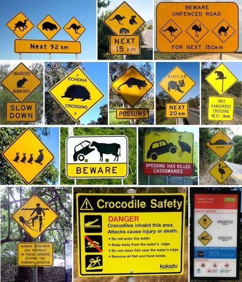 Australia Geography, Australian Road Signs, Zoomerang Vbs, Fun Expressions, Australian Party, Aussie Memes, Aussie Slang, Australia Party, Meanwhile In Australia