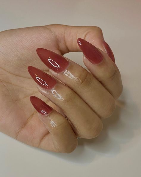 Nails Inspiration Medium Almond, Berry Jelly Nails, Cherry Jelly Nails, Rose Jelly Nails, Maroon Jelly Nails, Burgundy Jelly Nails, Red Nails Jelly, Jelly Brown Nails, Jelly Almond Nails