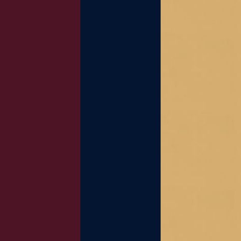 Wine, Navy, Pale Gold color scheme Navy Gold Colour Palette, Maroon Navy Color Palette, Red Navy Gold Color Palette, Burgundy And Gold Color Palette, Navy Blue Red And Gold Wedding Color Palettes, Blue And Burgundy Color Pallets, Champagne Color Palette, Burgundy Color Scheme, Burgundy Colour Palette