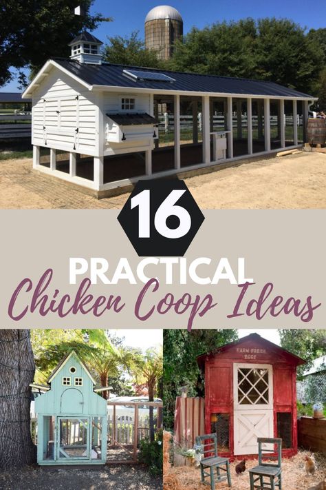 Growing chickens can be a rewarding and educational experience for the family. However, they need to be secured that is why before deciding to grow them, you need to build a chicken coop for their safety. Here are some ideas that you could use when building a chicken coop. #farmhouse #chickencoop #backyard #growingchickens Chicken Coups Design, Shed Chicken Coop Combo, Hen House Ideas, 10x20 Shed, Chicken Coups, Chicken Coop Ideas, Backyard Improvements, Build A Chicken Coop, Easy Chicken Coop