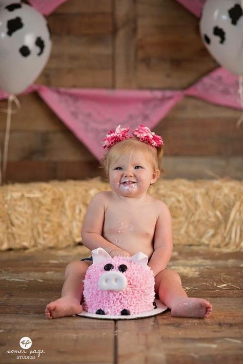 Farm Smash Cake, Farm First Birthday, Girls Farm Birthday, Barnyard Bash, Farm Animals Birthday, Animals Birthday Party, Farm Theme Birthday, 1st Birthday Party For Girls, Farm Animals Birthday Party