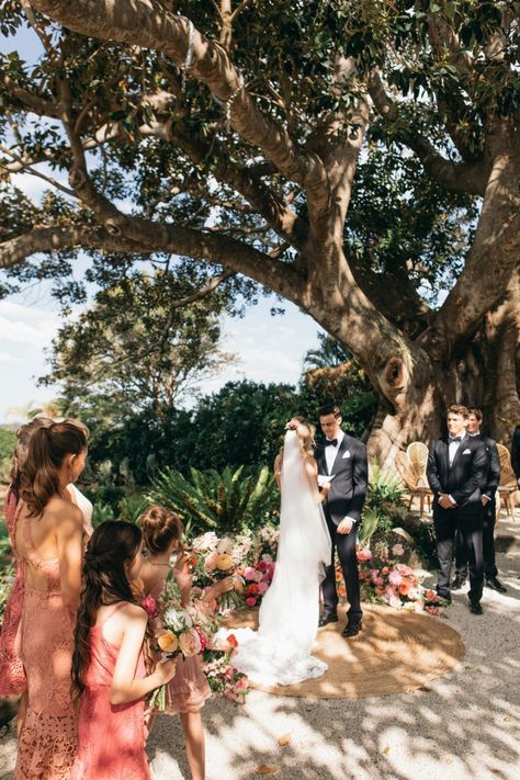 Apricot Garden, Tree Restaurant, Polka Dot Wedding, Tree Wedding, Fig Tree, Pictures Images, Garden Wedding, Fig, Apricot