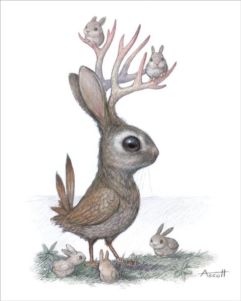 Thomas Ascott, Hybrid Art, Creature Drawings, Bunny Art, Smoky Mountain, Mythical Creatures Art, Pop Surrealism, Mystical Creatures, Art And Illustration