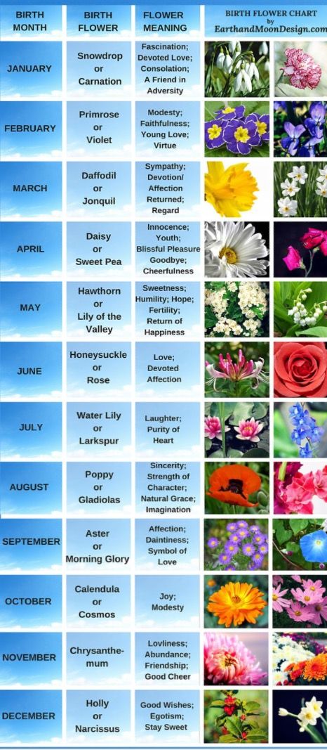 Flowers of the month Wildflowers Tattoo, Super Tattoo, Rose Sleeve, Flower Chart, April Birth Flower, Tattoo Rose, Birth Flower Tattoos, Flower Sleeve, Flower Meanings