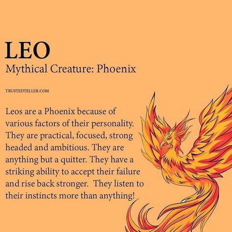 Leo Meaning, Zodiac Leo Art, Zodiac Signs Leo Tattoo, Leo Zodiac Quotes, Leo Virgo Cusp, Leo Star Sign, Leo Quotes, Leo Zodiac Facts, Leo Traits