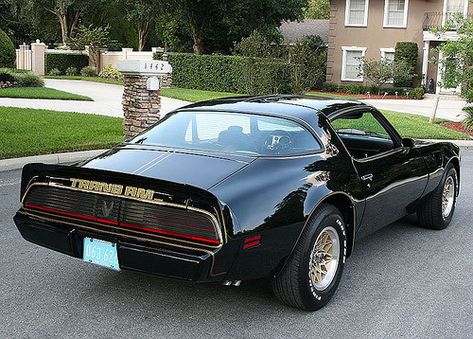 1979 pontiac trans am | ryan alloggia | Flickr 1978 Pontiac Trans Am, 1979 Pontiac Trans Am, Pontiac Trans Am, Pontiac Firebird Trans Am, Pontiac Cars, Classic Cars Trucks Hot Rods, Firebird Trans Am, Custom Muscle Cars, Pony Car