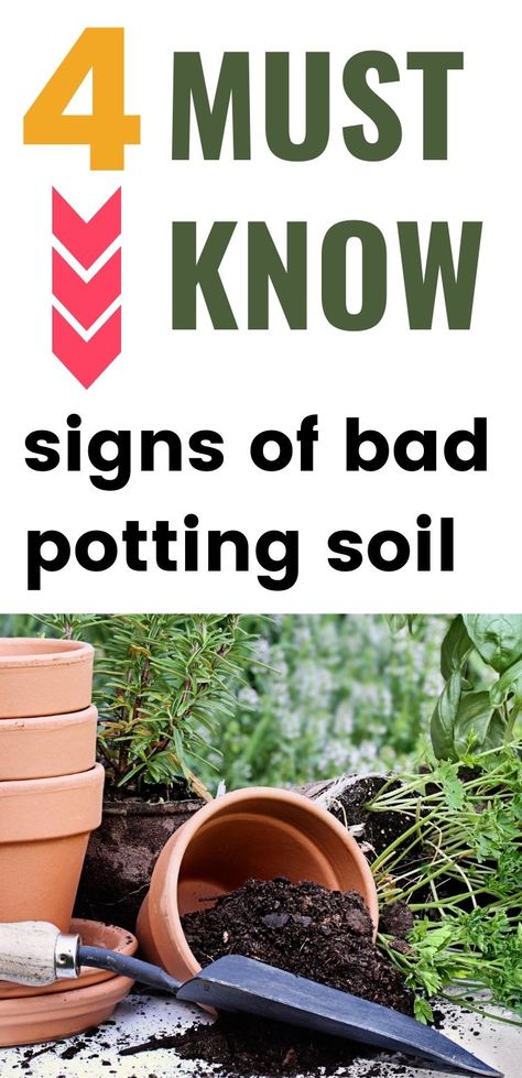 Can potting soil go bad? Learn these 4 must-know signs of bad potting soil! You'll also discover how to rejuvinate old potting soil and how to store potting soil to keep it healthy. Flower Garden Front Yard, Raised Bed Garden Ideas, Bed Garden Ideas, Gardening For Dummies, Garden Front Yard, Easy Vegetables To Grow, Raised Bed Garden, Garden Flower Beds, Small Garden Ideas