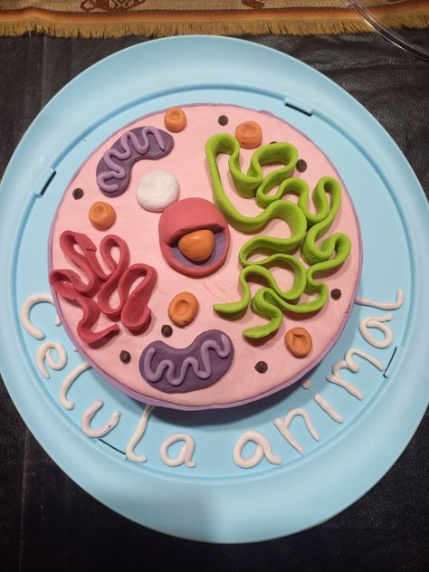 Cell Cakes Project, Animal Cell Clay Model, Animal Cell Project Cake, Biology Cake Ideas, Cell Model Cake, Animal Cell Cake Project, Cell Cake Project, Biology Cake, Animal Cell Cake