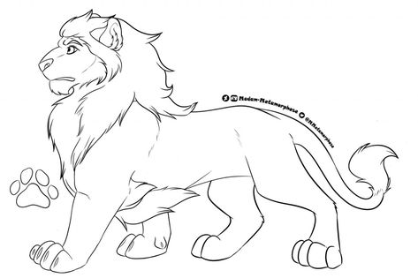 Avatar Animals, Lion King Drawings, Lion King Pictures, Lion Drawing, King Lion, Warrior Cat Drawings, Lion King Art, Oc Base, Reference Sheet