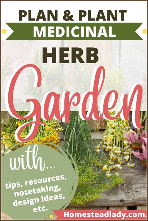 Herb Garden Medicinal, Medicine Herb Garden, Herbs To Grow For Medicine, Herb Guide Medicinal, Beginner Medicinal Herb Garden, Medicine Garden, Medicinal Herbs Garden, Healing Garden, Garden Design Layout