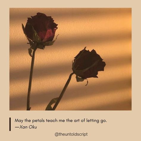 The Untold Script on Instagram: "May the petals teach me the art of letting go. ―Xan Oku . . 👉 Follow// @theuntoldscript 👉 LIKE+SAVE+COMMENT+SHARE . . . . . #theuntoldscript #literature #literaturememes #literaturequotes #poetry #poem #poetrycommunity #hozier #darkacademia #darkaesthetic #aesthetic #classic #bookstagram #academia #cottagecore #quotes #quotestagram #love #deadpoetssociety #tumblr #tumblrquotes #tumblraesthetic #vintage #book #lightacademia  #aestheticedits #donnatartt #life #li The Untold Script, Cottagecore Quotes, Dreamy Quotes, The Art Of Letting Go, Rose Quotes, Art Of Letting Go, Star Quotes, Inspirational Poems, Soothing Quotes