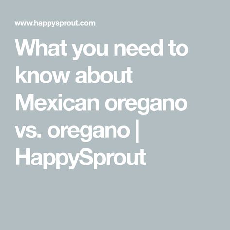 What you need to know about Mexican oregano vs. oregano | HappySprout Oregano Plant, Perennial Shrubs, Lemon Verbena, Herbs Indoors, Marjoram, Adobo, Different Plants, Fruit Trees, Oregano