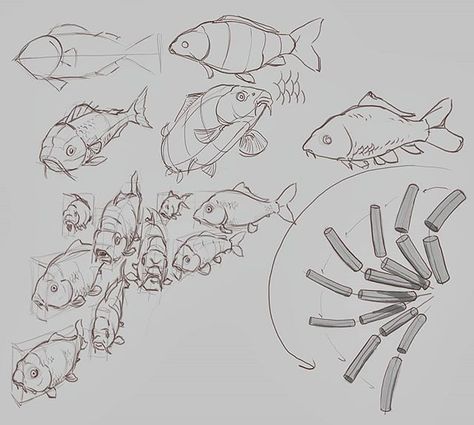 Everything I draw is carp? After a bunch of anatomy study yesterday I took a break to draw fish. Working on _not_ drawing what I see in the reference trying to turn things in space etc. Stuck one of my morning warmups in an empty corner too #sketchbook #dailysketch #sketchbookmobile Fish Reference Drawing, Fish Drawing Reference, Fish Art Reference, Fish Perspective Drawing, Carp Drawing, Fish Anatomy Drawing, Koi Fish Anatomy Drawing, Fish Sketch Drawing, Fish In Space