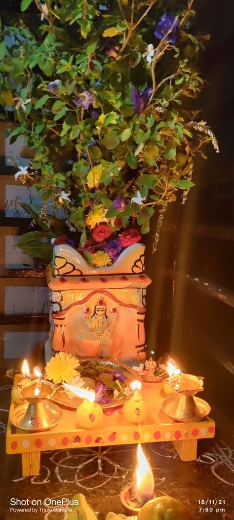 Tulsi Puja Images, Karthika Masam Pooja Images, Tulsi Puja Decoration, Karthika Masam Pooja, Diwali Lights Decoration House, Tulsi Mata, Snaps Pics, Tulsi Puja, Tulsi Pooja