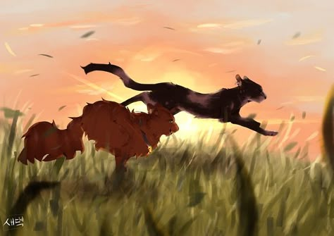 Tallstar And Jake, Wings Of Fire Fanart, Fire Fanart, Cat Warriors, Battle Cats, Warrior Cats Fan Art, Warriors Art, Warrior Cat Drawings, Warrior Cats Art