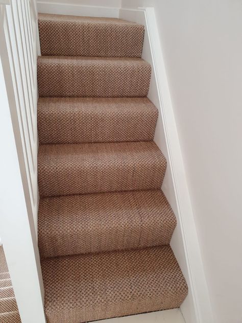 brown sisal carpet to stairs Brown Stair Carpet, Jute Stair Carpet, Brown Carpet Stairs, Upstairs Carpet, Cottage Stairs, Hall Ways, Black Stairs, Sisal Carpet, Jute Carpet