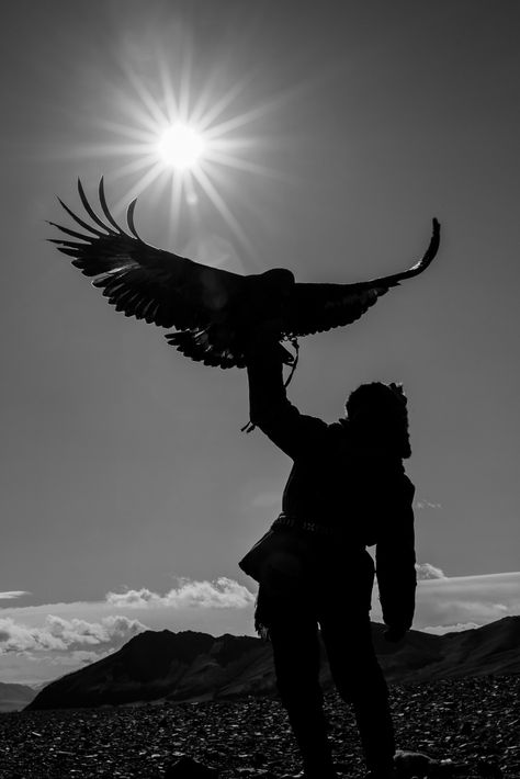 Hunter Aesthetic, Traditional Eagle, Eagle Photo, Eagle Hunter, Eagle Wallpaper, Golden Eagles, Dark Art Photography, Wild Animals Pictures, Eagle Art