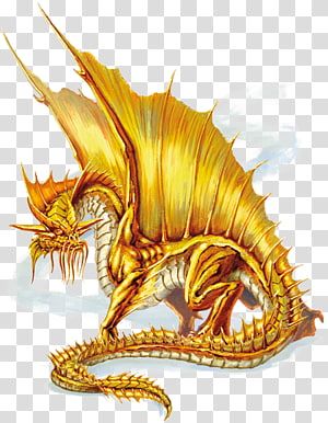 5e Dragon, European Dragon, Wing Anatomy, Chromatic Dragon, Dragon Anatomy, Monster Manual, Dnd Dragons, Cool Dragons, Autumn Rain