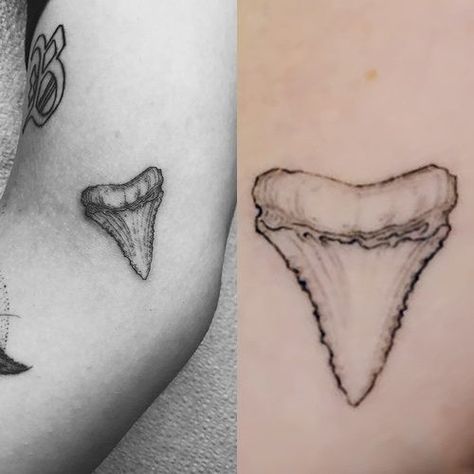 Shark tooth tattoo Tooth Tattoo Simple, Shark Teeth Tattoo, Simple Shark Tattoo, Shark Jaws Tattoo, Small Shark Tattoo, Teeth Tattoo, Tattoo Shark, Shark Tooth Tattoo, Tattoo Pieces