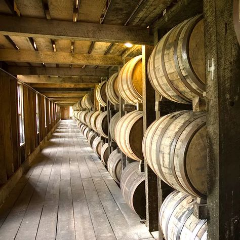 Bourbon Tour, Kentucky Bourbon Trail, Bourbon Tasting, Woodford Reserve, Whiskey Distillery, Buffalo Trace, Farm Fresh Recipes, Kentucky Bourbon, Wine Barrels