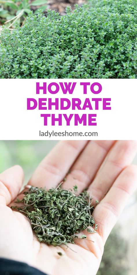 Drying Thyme, Dehydrating Herbs, Easy Canning Recipes, Herbs And Uses, Seasoning Shelf, Dehydrated Food Recipes, Yellow Split Pea Soup, Herb Drying, Freezing Vegetables