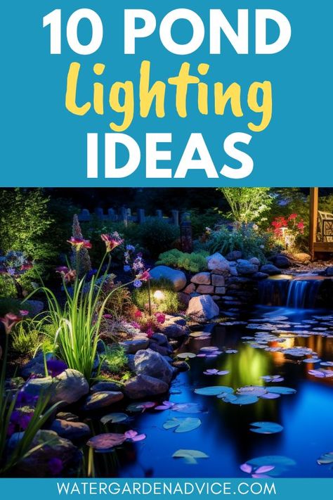 backyard pond lighting Pond Lighting Ideas, Patio Pond Ideas, Pond At Night, Diy Water Garden, Pond Lighting, Above Ground Pond, Garden Pond Ideas, Fish Ponds Backyard, Pond Diy