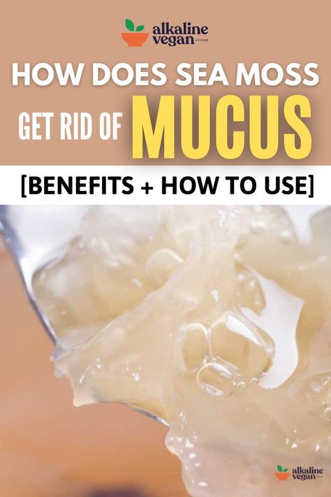 Sea Moss Mucus Get Rid Of Mucus, Clear Mucus, Getting Rid Of Mucus, Seamoss Benefits, Sea Moss, Healthy Beauty, Healthy Eating Recipes, Healthy Living Lifestyle, Holistic Health