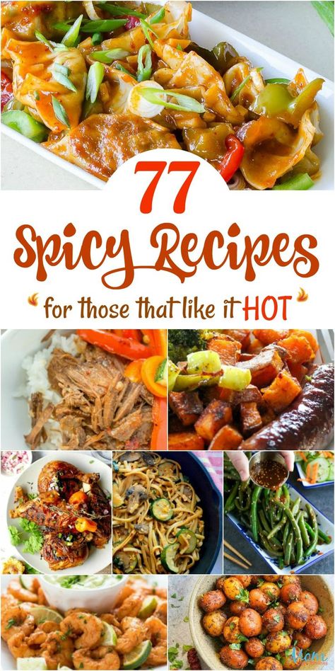 Spicy Lunch, Simple Family Meals, Spicy Dishes, Spicy Snacks, Foods Recipes, Hot Spicy, Recipe Roundup, Amazing Recipes, Yummy Foods