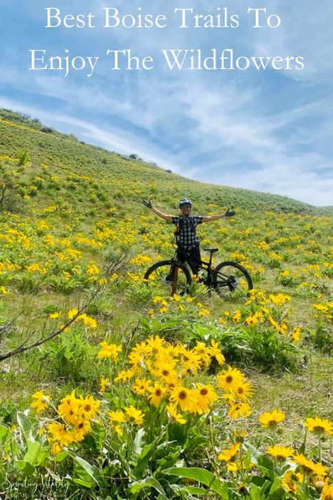 Idaho Wildflowers, Visit Idaho, Rock Quarries, Boise Idaho, Different Plants, Nature Trail, Bike Trails, Great View, Great Photos