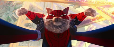 Spider Cat, Spiderman Atsv, Spiderman Stuff, Whatsapp Wallpapers Hd, Spider Man Into The Spider Verse, Into The Spiderverse, Spiderman Artwork, Karakter Disney, Spiderman Pictures