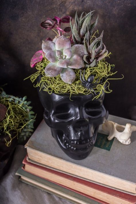 Halloween Planters, Sugar Skull Planter, Diy Skulls, Skull Planter, Halloween Decoration Ideas, Skull Crafts, Halloween Flowers, Halloween Centerpiece, Chic Halloween