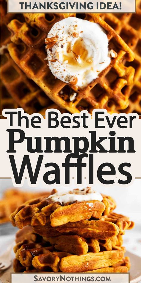 We love these soft and fluffy pumpkin waffles! My recipe makes a quick batter from scratch with an entire cup of pumpkin, eggs, flour, pumpkin spice (obviously!) and milk. The perfect treat on a crisp fall morning! | #waffles #pumpkinrecipe #breakfastrecipe Pumpkin Waffles Without Eggs, Best Pumpkin Waffles, Pumpkin Spice Waffles Easy, Healthy Pumpkin Spice Waffles, Pumpkin Waffles Recipe Krusteaz, Homemade Pumpkin Waffles, Bisquick Pumpkin Waffles, Pumpkin Belgian Waffles, Pumpkin Oatmeal Waffles