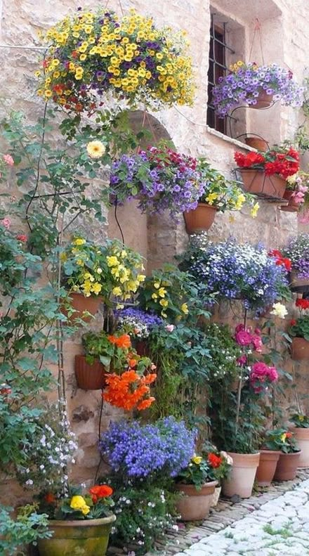 Creating a Hanging Italian Wall Garden - GRAND VOYAGE ITALY Bank Landscaping, Italian Backyard, Italian Flowers, Potted Flowers, Italian Landscape, Walled Garden, Italian Garden, Mediterranean Garden, Creative Gardening