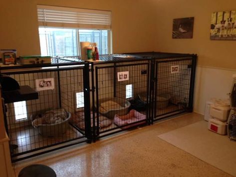 Dog kennel room Dog Kennel Room, Kennel Room, Dog Room Design, Dog Breeding Kennels, Dog Boarding Ideas, Luxury Dog Kennels, Dog Backyard, Dog Boarding Facility, Dog Boarding Kennels