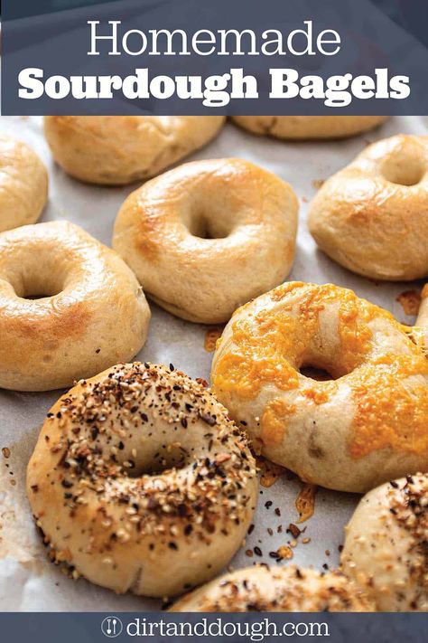 Sourdough Bagels Recipe, Sourdough Bagel, Bagels Recipe, Sourdough Bagels, Smoked Salmon Dip, Sourdough Starter Discard Recipe, Easy Mediterranean Diet Recipes, Homemade Sourdough Bread, Homemade Sourdough