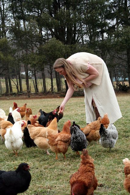 Feeding Animals, Feeding Chickens, Chicken Coop Garden, Chicken Life, Future Farms, Farm Photography, Farm Lifestyle, Keeping Chickens, Farms Living