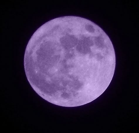 Room Images, Purple Moon, Moon Icon, Arte Punk, Purple Vibe, Lavender Aesthetic, Dark Purple Aesthetic, Purple Themes, Purple Love