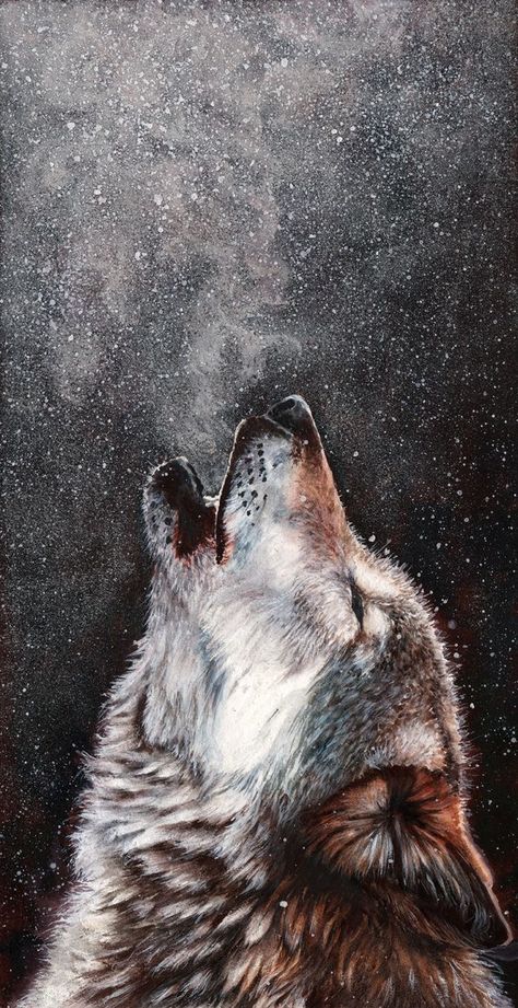 Howling with the pack Caine Husky, Lup Singuratic, Wolf Painting, Wolf Wallpaper, Wolf Love, Wolf Pictures, Beautiful Wolves, Wolf Spirit, Wolf Tattoos