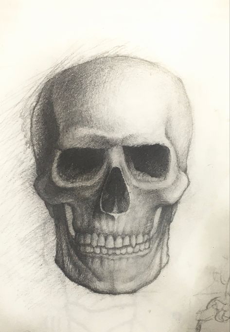 Anatomical Skull Drawing, Skull Front View Drawing, Skull Face Drawing, Skull Shading, Skull Front View, Shading Faces, Natural Forms Gcse, Mecha Tanks, Drawing Realism