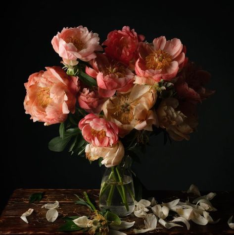 Leah McLean | Still Life on Instagram: "Day 4 of 12 Days of Christmas:Peony edition! This was one of my favorites from this year, the blooms were just beginning to get spots and the petals would fall off if I tried to move them…my favorite stage! . . Interested in my still life techniques? Check out my classes on Skillshare. Link in bio ⬆️ . #peoniesaremyfavorite #growflowers #flowerlover #sonyalpha #zeisscameralenses #peony #flowersofinstagram #peonyseason #westcottlighting #madewithphotoshop Peonies Season, Still Life Images, Bouquet Inspiration, Still Photography, T Lights, 12 Days Of Christmas, Growing Flowers, Flower Lover, Wedding Design