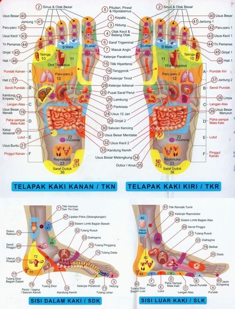 Reflexology Pressure Points, Ear Reflexology, Sistem Saraf, Reflexology Foot Chart, Latihan Dada, Body Wisdom, Hand Reflexology, Reflexology Chart, Mental Health Facts