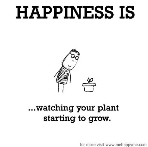 Happiness : A collection of funny but true cartoon sketches about what happiness is. Trees Poetry, Succulent Quotes, Gardening Memes, Plants Quotes, Happiness Project, Garden Quotes, Flower Quotes, Nature Quotes, Happy Moments