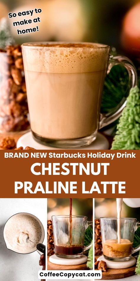 Chestnut Praline Latte Starbucks, Coffee Copycat Recipes, Starbucks Chestnut Praline, Easy Latte Recipe, Chestnut Praline Latte, Blended Coffee Recipes, Starbucks Holiday Drinks, Starbucks Latte, Latte Starbucks